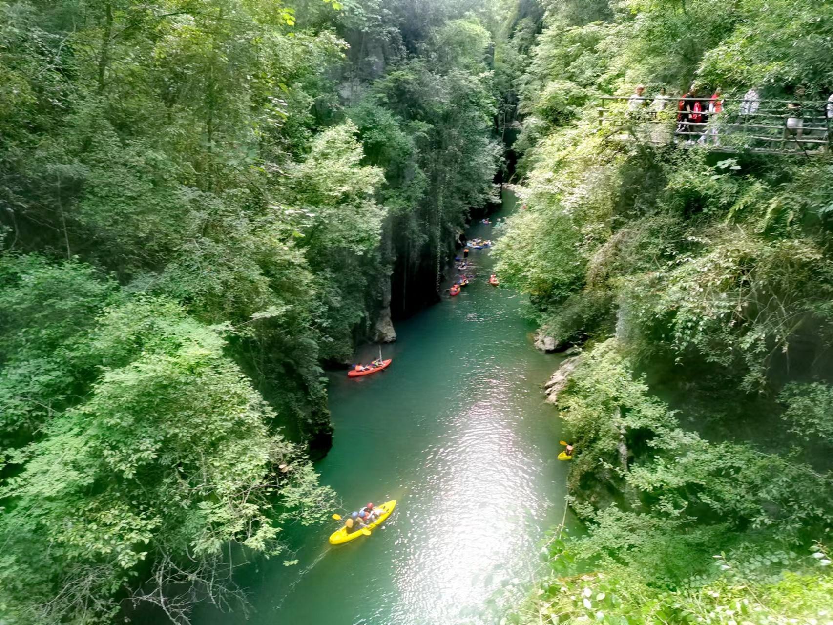 补硒的有什么药材好(药材补好硒有副作用吗)-硒宝网