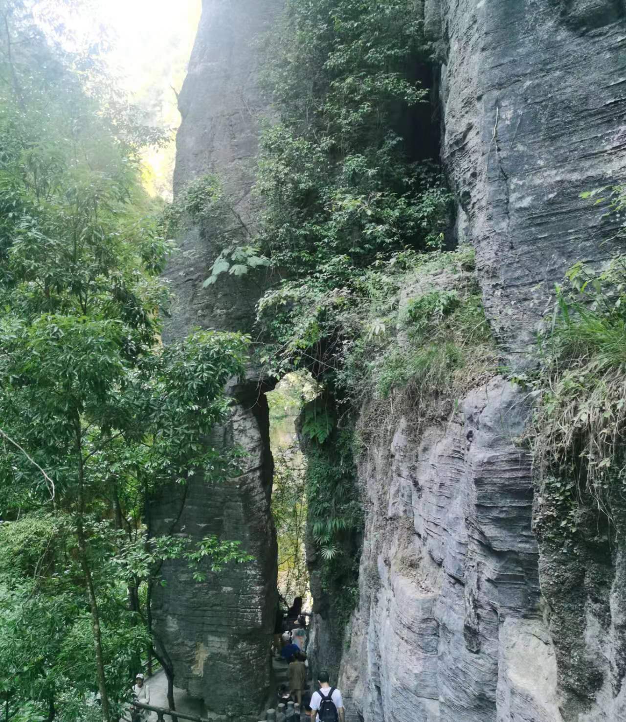 补硒的有什么药材好(药材补好硒有副作用吗)-硒宝网