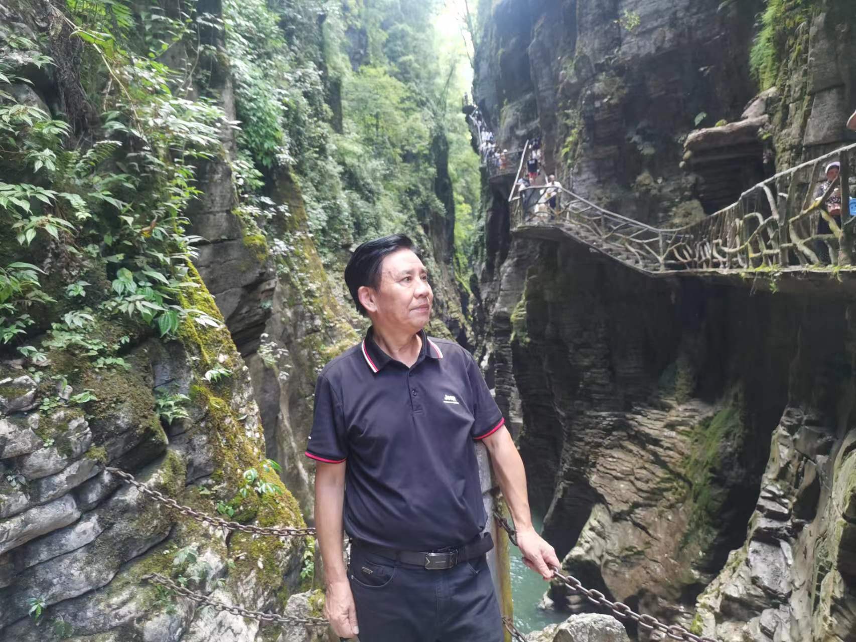 补硒的有什么药材好(药材补好硒有副作用吗)-硒宝网