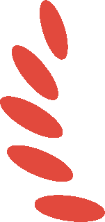 痛风可以补钙吗(补钙痛风可以吃钙片吗)-硒宝网