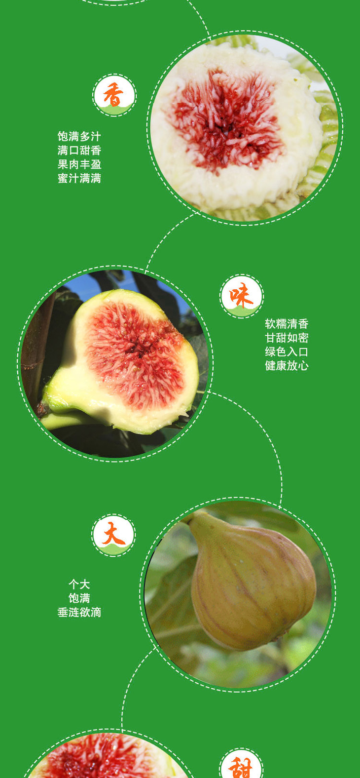 无花果怎么补硒的好（无花果含硒元素吗）-硒宝网