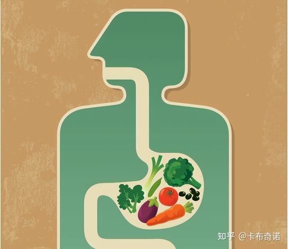 快速补钙(补钙快速的食物有哪些)-硒宝网