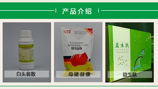 仔猪补硒腹泻怎么办(仔猪补硒用什么药)-硒宝网