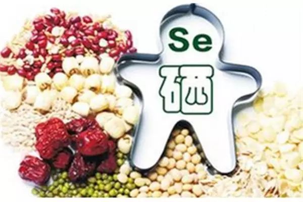 什么蔬菜水果能补硒（什么蔬菜水果补硒）-硒宝网