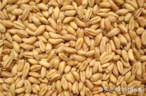 胃溃疡患者能补硒吗（胃溃疡可以吃硒酵母片吗）-硒宝网