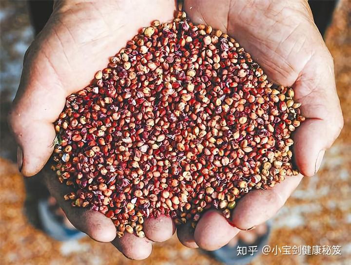 胃溃疡患者能补硒吗（胃溃疡可以吃硒酵母片吗）-硒宝网