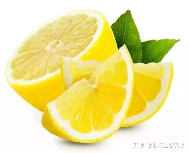 胃溃疡患者能补硒吗（胃溃疡能补硒吗）-硒宝网