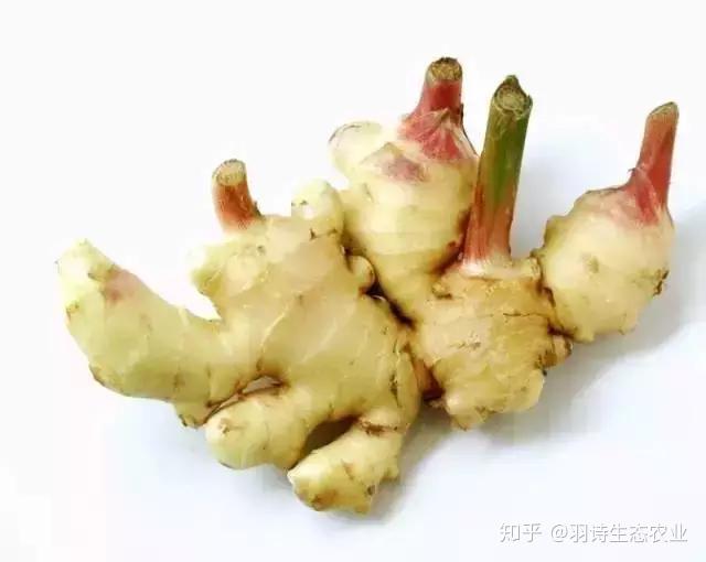 胃溃疡患者能补硒吗（胃溃疡能补硒吗）-硒宝网