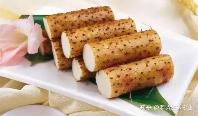 胃溃疡患者能补硒吗（胃溃疡能补硒吗）-硒宝网