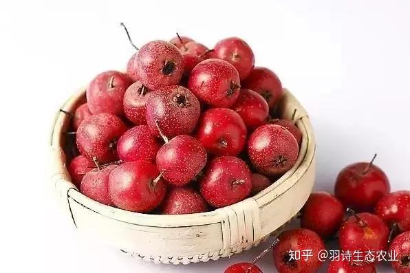 胃溃疡患者能补硒吗（胃溃疡能补硒吗）-硒宝网