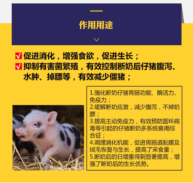 仔猪补硒腹泻怎么办（仔猪补硒吐了怎么办）-硒宝网