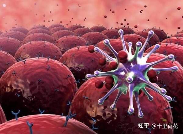 宫颈癌每天补硒多少（宫颈癌补硒有用吗）-硒宝网