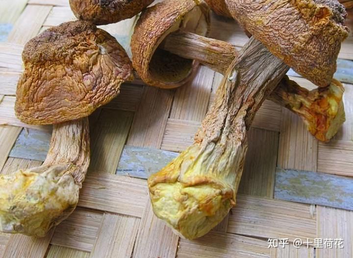 宫颈癌每天补硒多少（宫颈癌补硒有用吗）-硒宝网