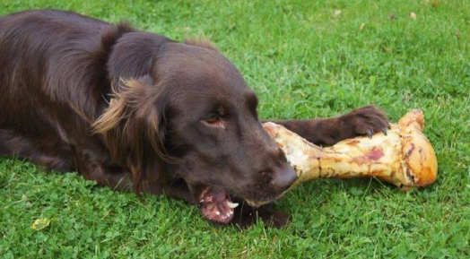 吃啥能补钙(可以补钙)-硒宝网