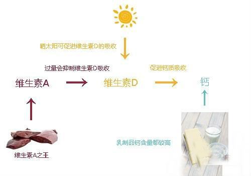 吃啥能补钙(可以补钙)-硒宝网
