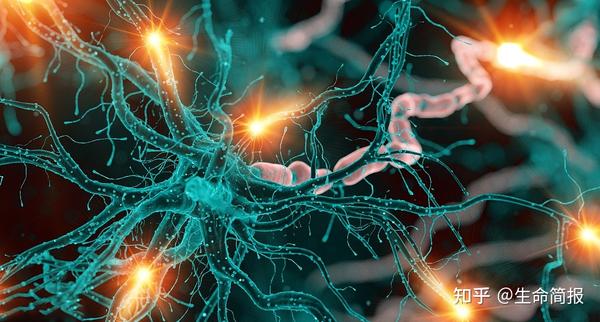 补硒预防新冠病毒吗(新冠期间哪个教授建议补硒)-硒宝网