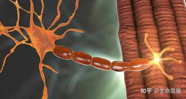 补硒预防新冠病毒吗(新冠期间哪个教授建议补硒)-硒宝网