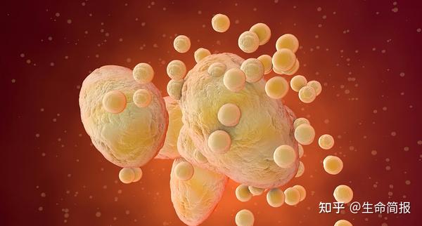 补硒预防新冠病毒吗(新冠期间哪个教授建议补硒)-硒宝网