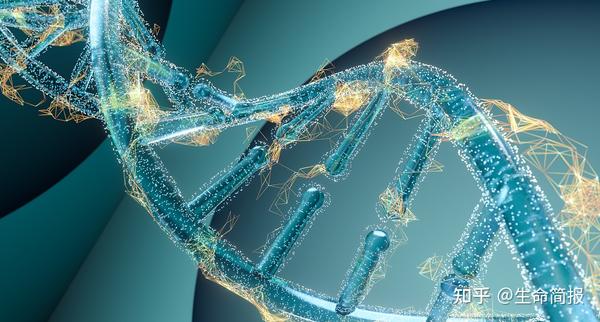 补硒预防新冠病毒吗(新冠期间哪个教授建议补硒)-硒宝网