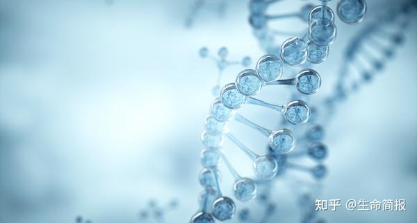 补硒预防新冠病毒吗(新冠期间哪个教授建议补硒)-硒宝网