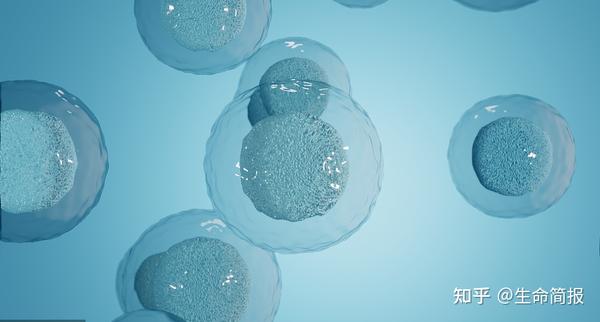 补硒预防新冠病毒吗(新冠期间哪个教授建议补硒)-硒宝网