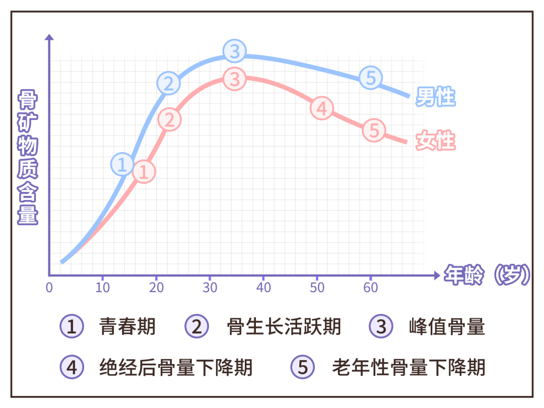大豆补钙吗(吃大豆补钙吗吃啥补钙效果最好)-硒宝网