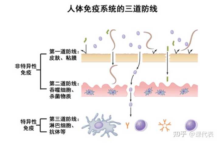 补硒有药片吗怎么吃(补药片吃硒有副作用吗)-硒宝网