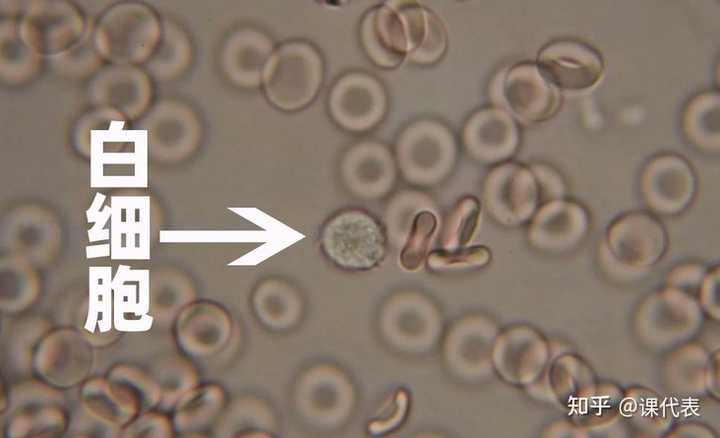 补硒有药片吗怎么吃(补药片吃硒有副作用吗)-硒宝网