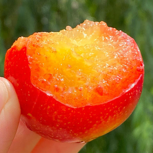 吃樱桃能补铁补硒吗(樱桃补铁补血吗)-硒宝网