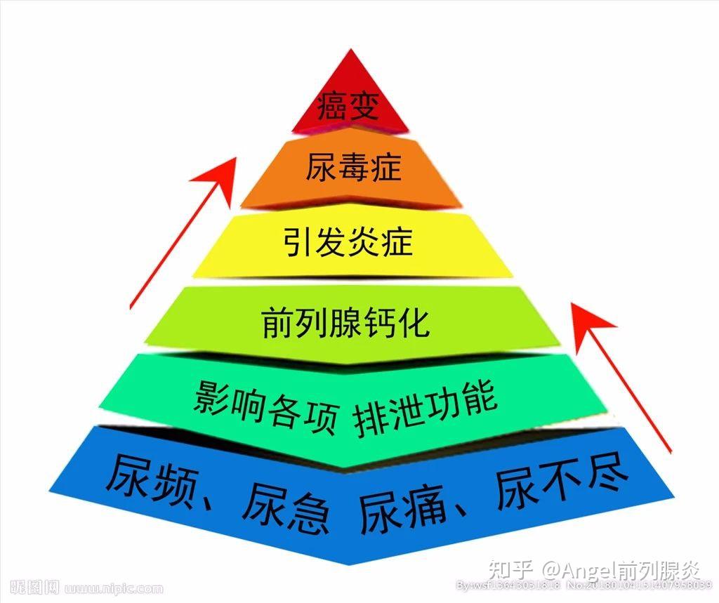 前列腺疾病需要补硒（前列腺补硒）-硒宝网