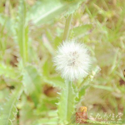 急性白血病补硒好吗(白血病吃硒元素起作用吗)-硒宝网