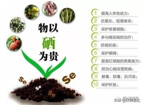 补硒多少可以防辐射（硒对抗辐射有作用吗）-硒宝网