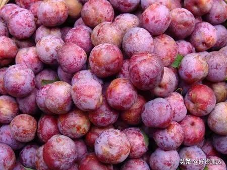 补硒多少可以防辐射（硒对抗辐射有作用吗）-硒宝网