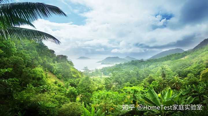 补硒为什么会拉肚子(补硒拉肚子)-硒宝网