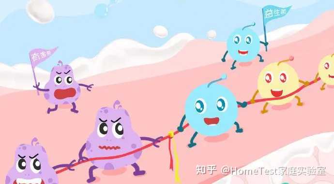 补硒为什么会拉肚子(补硒拉肚子)-硒宝网