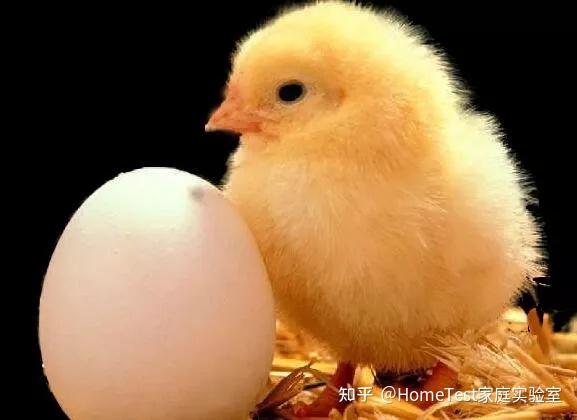 补硒为什么会拉肚子(补硒拉肚子)-硒宝网