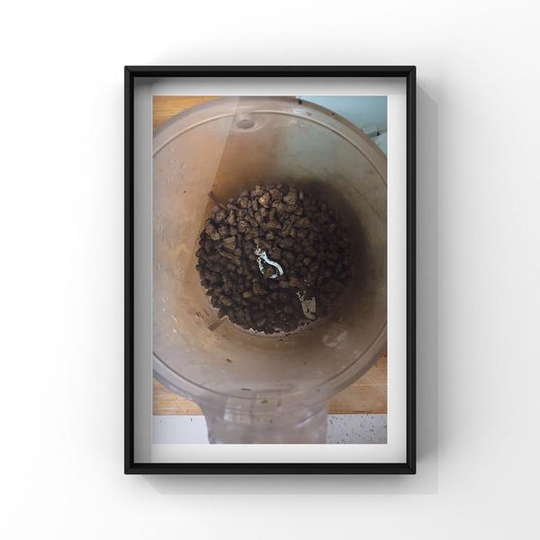 猪肝补锌吗(猪肝补锌效果好吗)-硒宝网