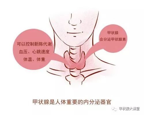 补硒与预防甲状腺癌（甲状腺癌补硒要补几个月）-硒宝网