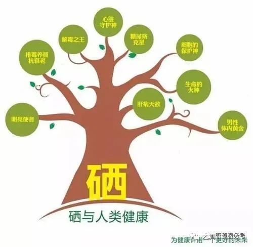 单纯补硒有什么龄段（单纯的补硒可以提高免疫力吗）-硒宝网