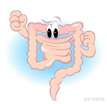 魔芋精粉补硒怎么吃（补粉精魔芋吃硒含量高吗）-硒宝网