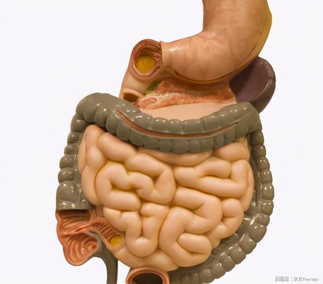 有胃病的可以补硒吗(胃病几年了吃硒治好胃病了)-硒宝网
