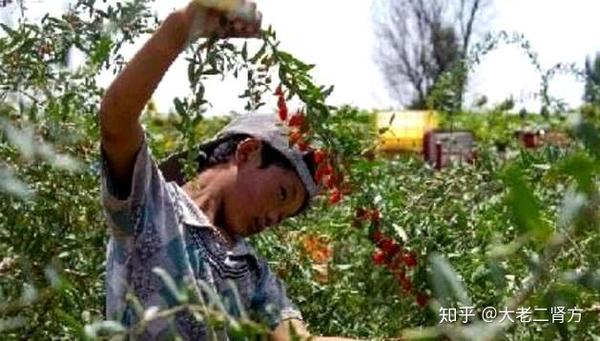 男人吃什么补硒最好(男人补硒能提高性功能吗)-硒宝网