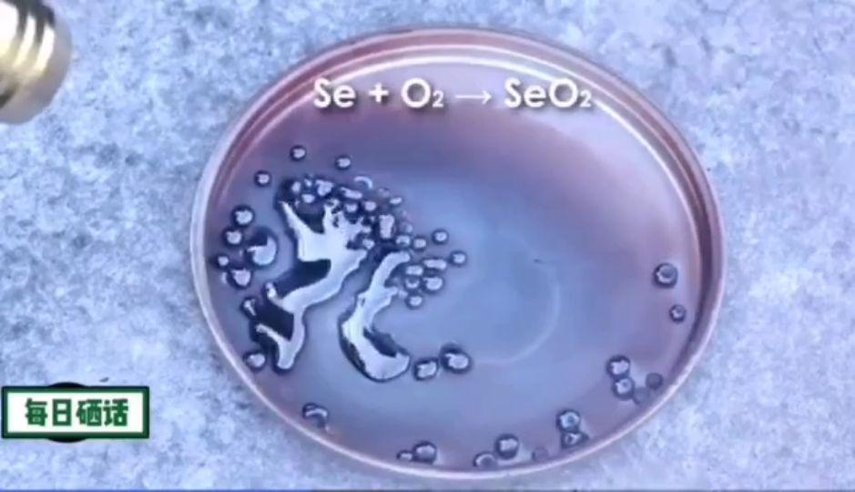 胰腺癌患者怎么补硒(硒对胰腺癌有效果吗)-硒宝网