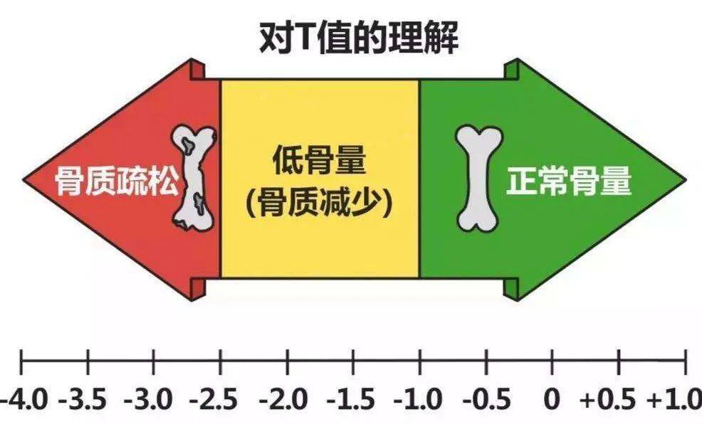 维生素d3可以补钙吗(维生素补钙可以长期吃吗)-硒宝网