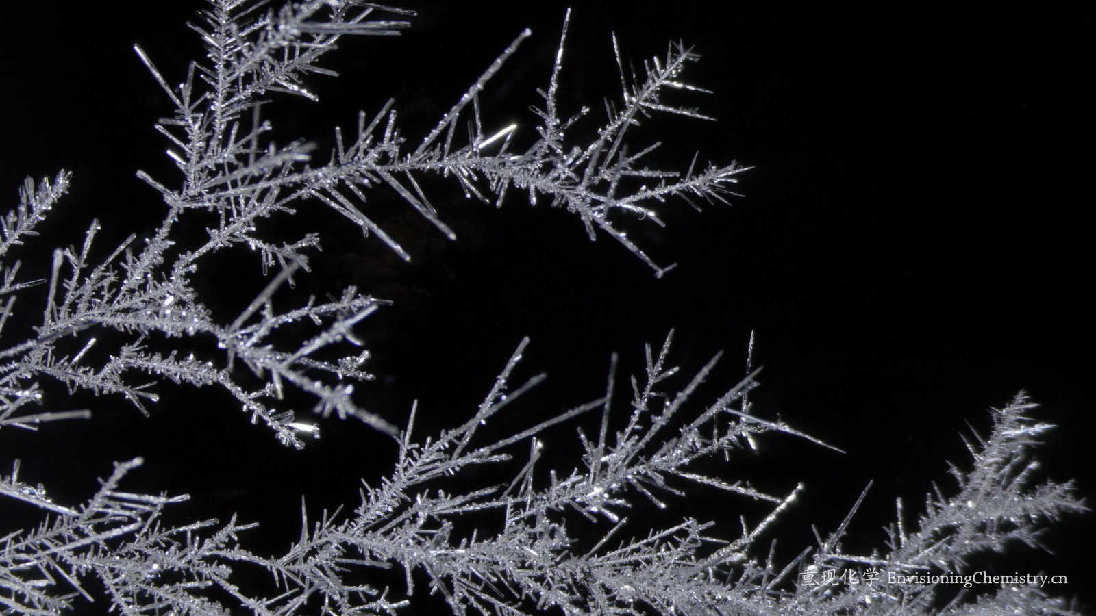 缺硒怎么补吃什么好（补硒会有什么反应）-硒宝网