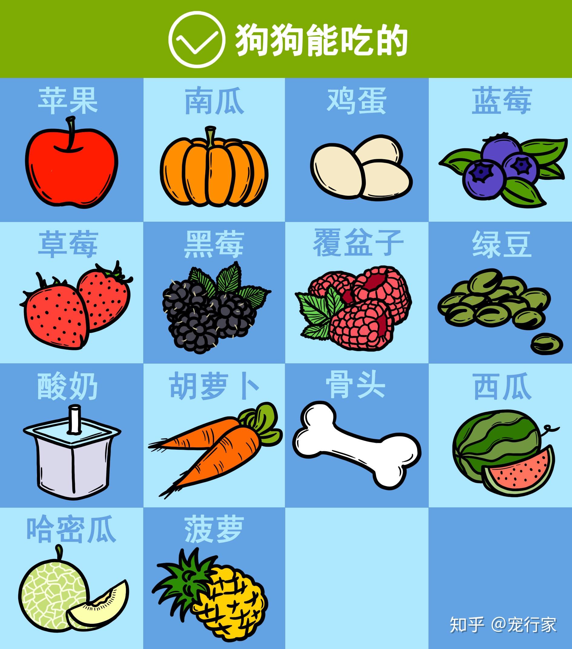 啥食物补硒快效好呢(食补硒吃什么好)-硒宝网