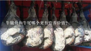 牛骨头补钙吗（牛骨头可以补钙）-硒宝网