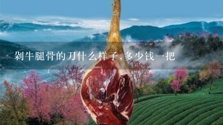 牛骨头补钙吗（牛骨头可以补钙）-硒宝网