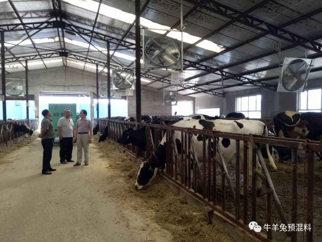 补硒后出虚汗正常吗（补正常出虚汗硒后会出汗吗）-硒宝网