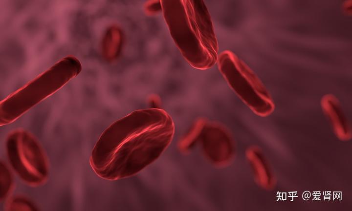 静脉补钠(静脉补钠浓度及补钠速度)-硒宝网